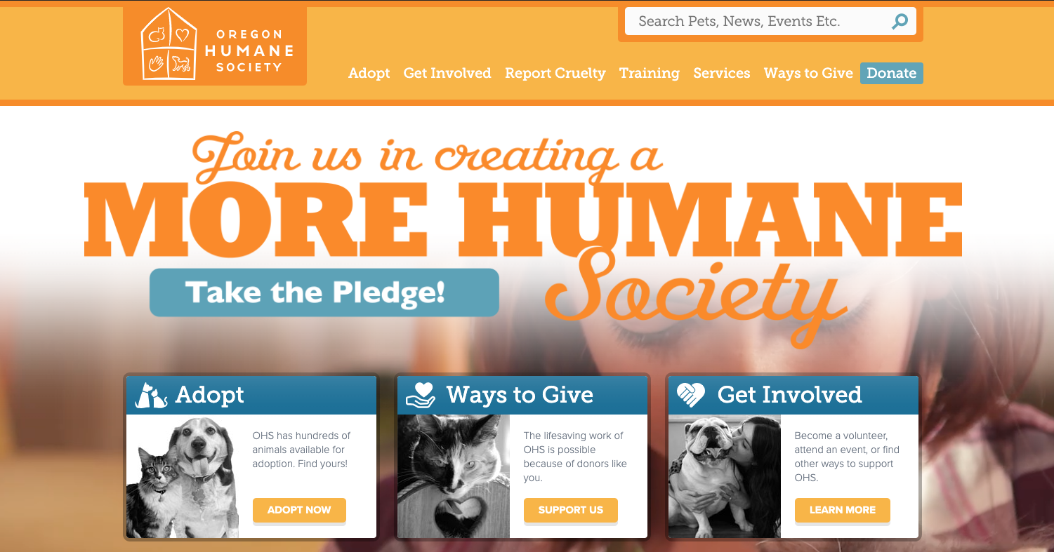 Animal shops shelter websites